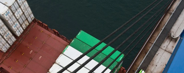 A container ship passes beneath a bridge
