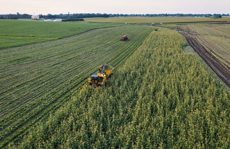 Conteúdo Agronegócio01