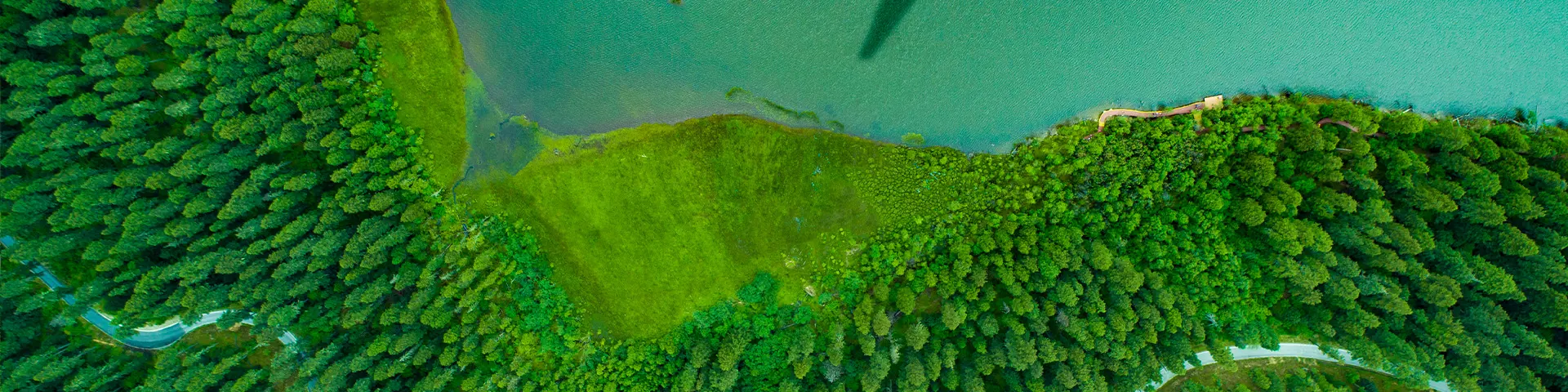 low-emission-transport-forest-lake