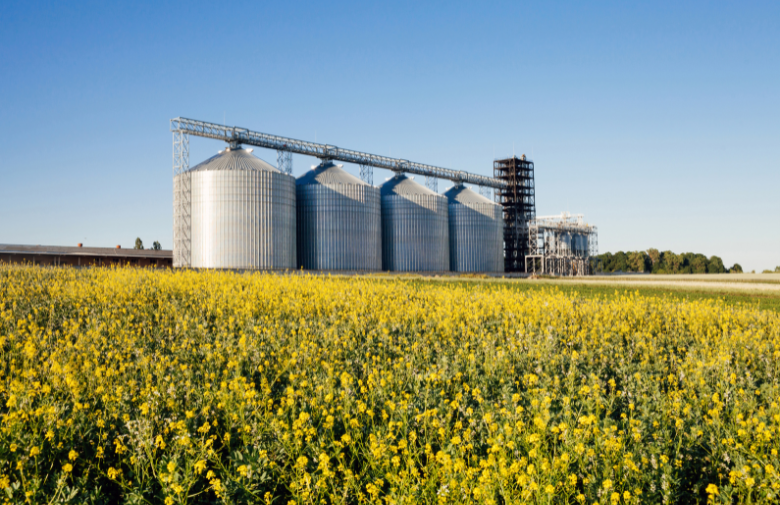 Conteúdo Agronegócio02