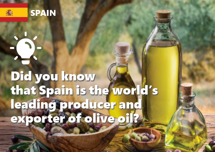 spain-olive-oil-production