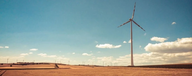 Windmills in a field