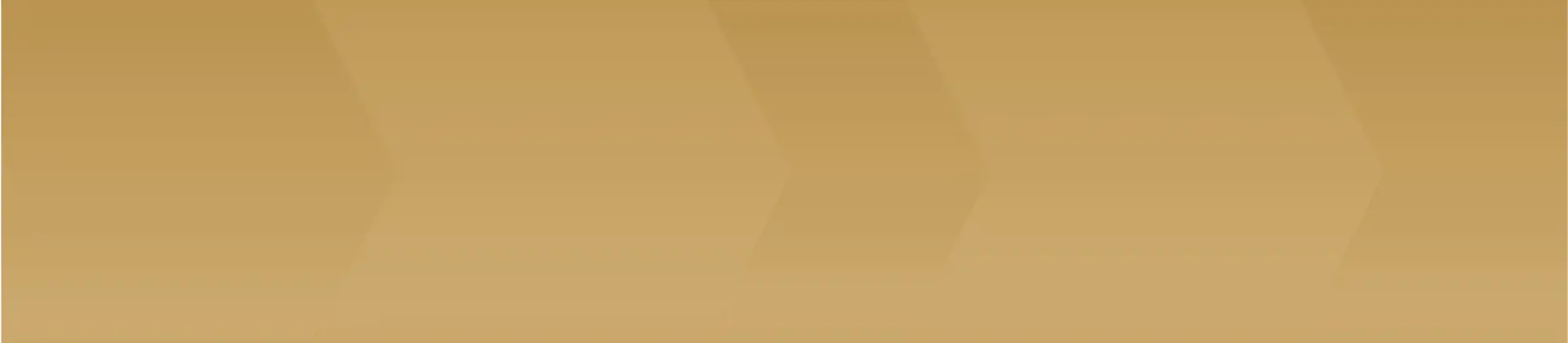 Gold gradient background with text promoting cargo ship chartering services from 1,500 to 45,000 DWT