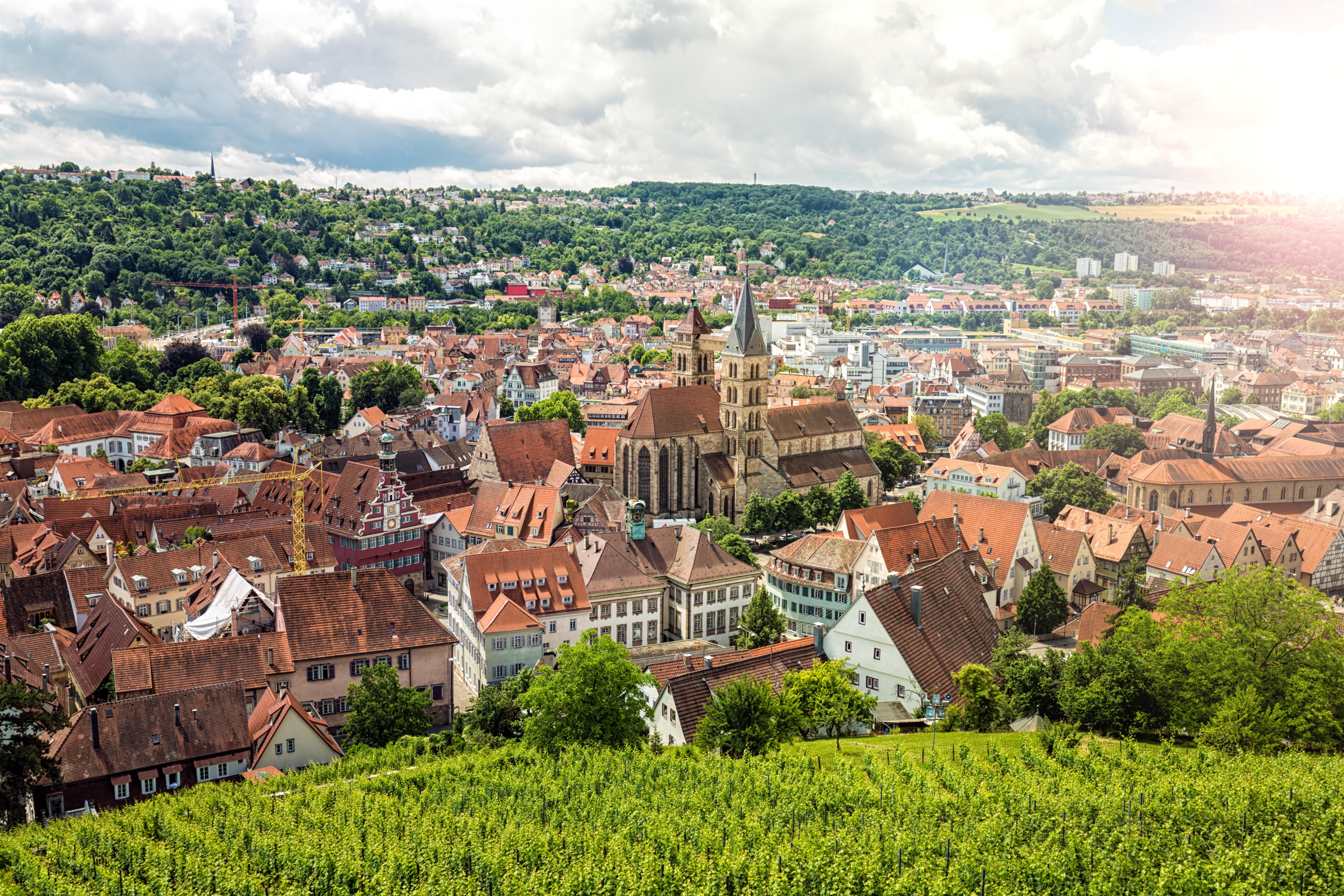 stuttgart-germany-aerial-view-vineyards-cityscape