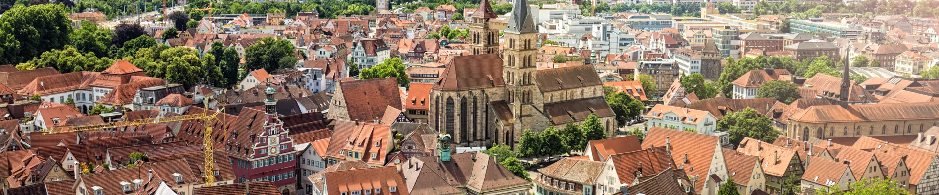 stuttgart-germany-aerial-view-vineyards-cityscape