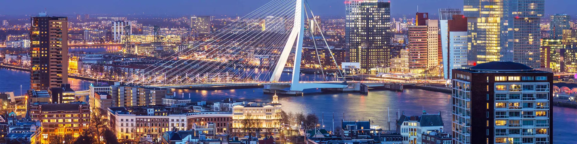 rotterdam-erasmus-bridge-night-skyline