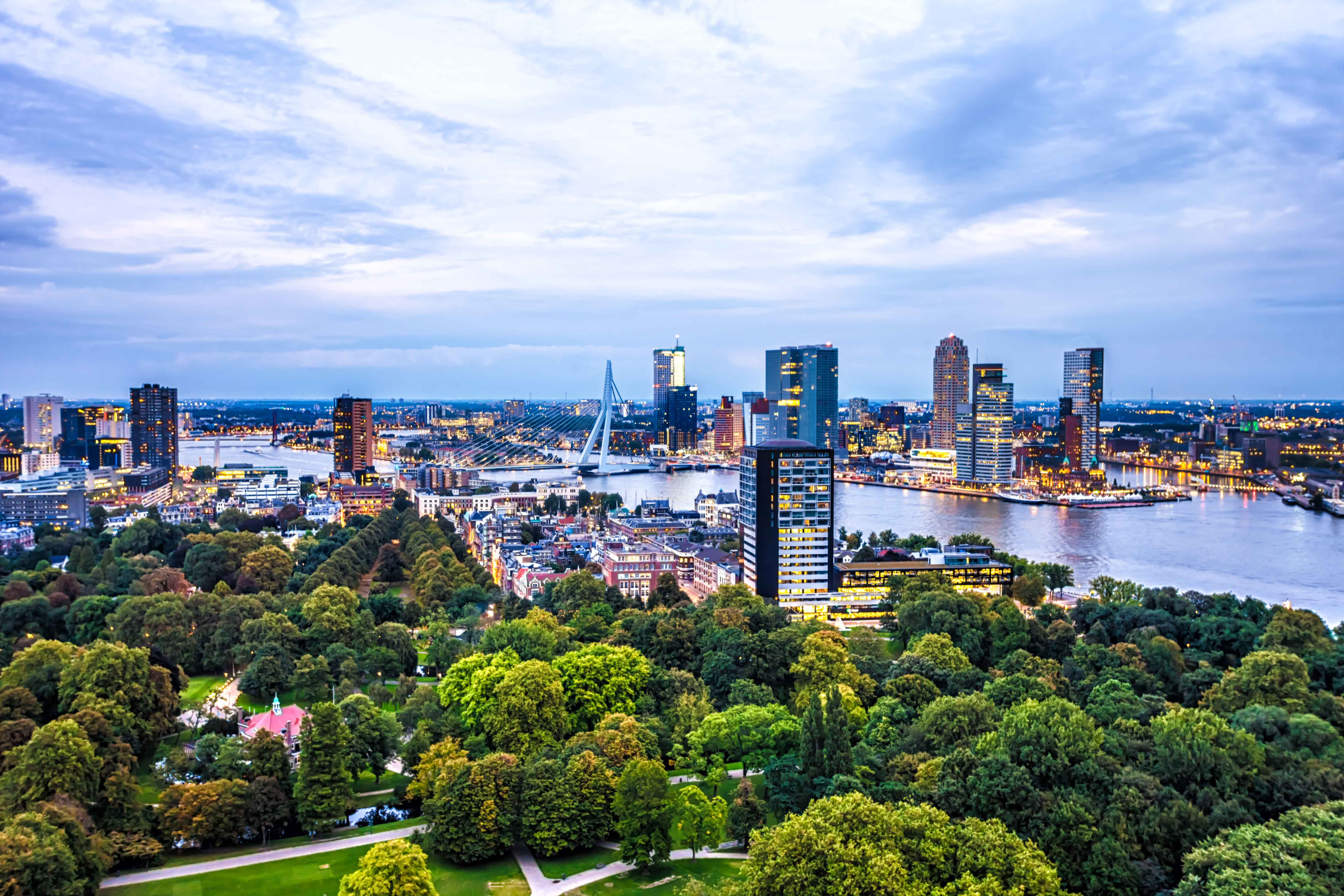 rotterdam-skyline-erasmus-bridge-park