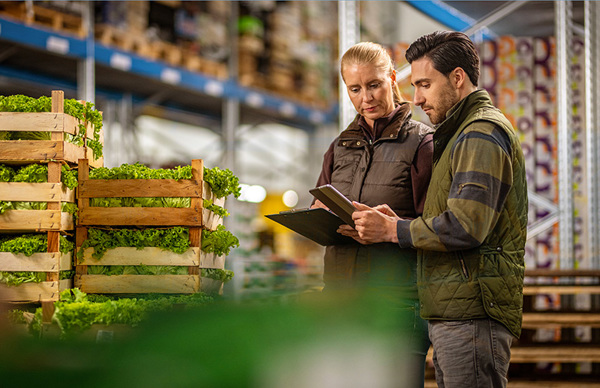 quality-control-fresh-produce-warehouse